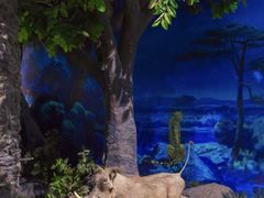 -国家自然博物馆