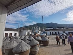 -苏州市吴中区光福窑上花果蜜饯厂