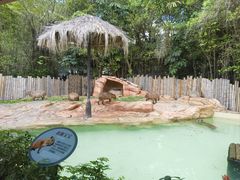 -珠海长隆海洋王国