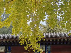 -月坛公园