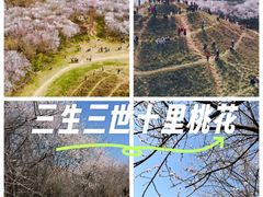 -明秦王墓遗址