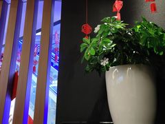 -老娘舅(苏州双湖广场店)