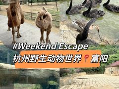 -杭州野生动物世界