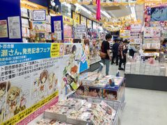 -秋叶原电器街