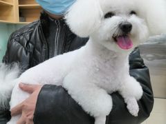 -宠福鑫康馨动物医院·骨科·眼科