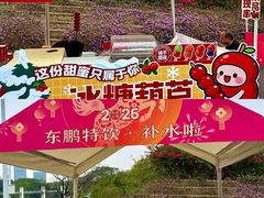 -东莞植物园