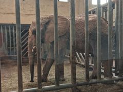 -石家庄市动物园