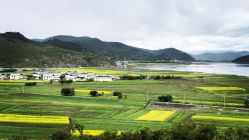 -纳帕海依拉草原