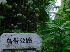 -汤旺河林海奇石景区