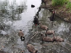 -长兴太湖图影湿地文化园