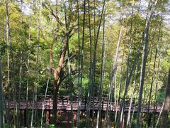 -方岩风景区