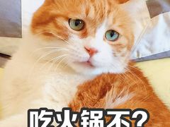 -恩来顺(上海道店)