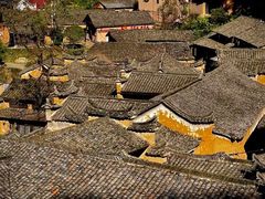 -杨家堂村
