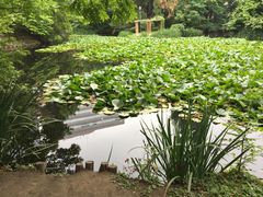 -北海道厅旧本厅舍(旧本庁舎)