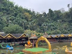 -西双版纳原始森林公园