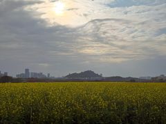 -光明小镇欢乐田园