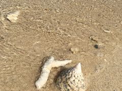 -东姑阿都拉曼海洋公园