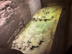 -秦始皇帝陵博物院-丽山园
