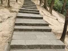 -火炉山森林公园