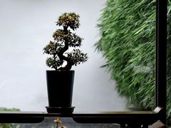 -三亚太阳湾柏悦酒店