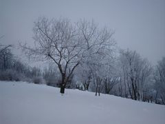 -中旅松花湖滑雪场