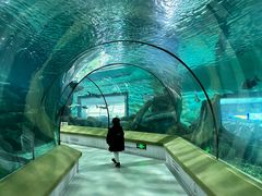 -福州罗源湾海洋世界旅游区