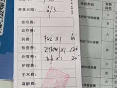 -顺强宠物诊所·狂犬免疫·夜诊·骨科(嘉定店)