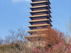 -牛首山文化旅游区