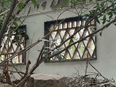 -扬州瘦西湖汇金酒店