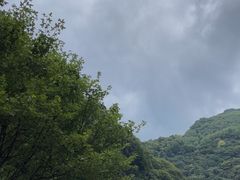 -少华山国家森林公园