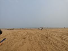 -贝壳沙滩