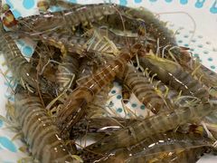 -睿柏云酒店-餐厅