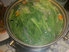 生烫鸡毛菜-卢大鲜鱼头捞饭(美利广场店)