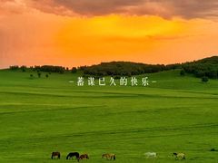 -乌兰布统草原