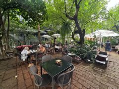 -Fern Forest Cafe