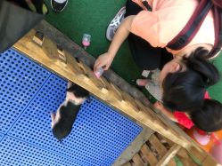 -萌宠亲子动物乐园(槐房万达店)