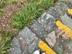 -团结湖公园