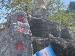 -大岭沟猕猴桃谷风景区