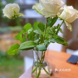 她城有他，有故事的餐厅～