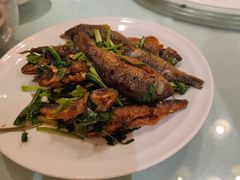 -诚如金·南宁本地菜(信息港店)
