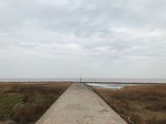 -南汇嘴观海公园