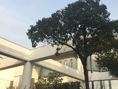 -同济大学图书馆(嘉定校区)