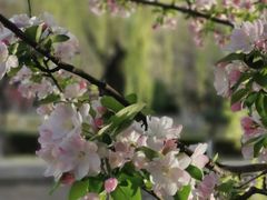-元大都城垣遗址公园