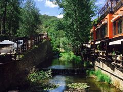 -Local泰莲庭(虹鳟鱼店)