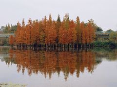 -白鹭湾湿地公园