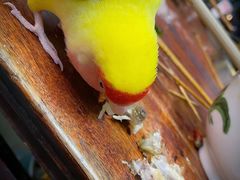 -四小区火锅·巷子里的重庆火锅(花照壁店)