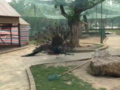 -武汉紫薇都市田园