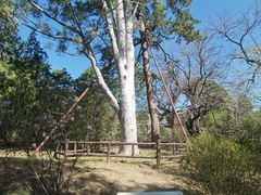 -香山公园