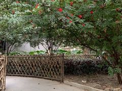 -小洲村
