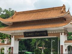 -深圳仙湖植物园